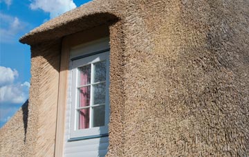 Golant thatch roof disadvantages